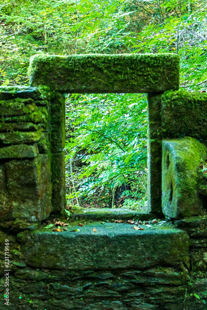 Naklejka premium maison abandonnée 