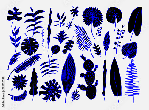 Vector set of bright tropical plants. Colorful hand-drawn Leaves, Inflorescences, Flowers. Blue Black colors