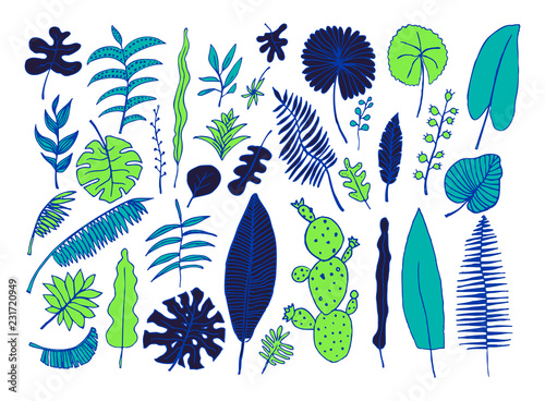 Vector set of bright tropical plants. Hand-drawn Leaves, Inflorescences, Flowers. Blue Black Green colors