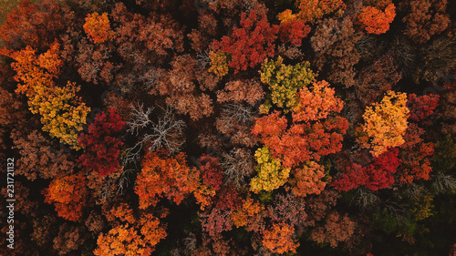 overhead view of the trees during fall in Missouri.  Leaves are red, orange, yellow, green and brown.  Drone photo. © sabastean
