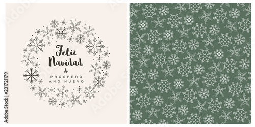 Feliz Navidad y Prospero Ano Nuevo - Merry Christmas and Happy New Year.Spanish Christmas Vector Card and Pattern.Brown Snowflakes and Hand Written Letters.Beige Card.White Snowflakes.Green Background