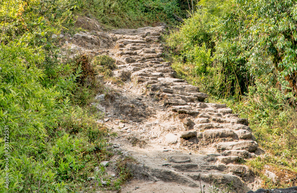 Beautiful view of nature on a trekking trail to the Annapurna base camp, the Himalayas, Nepal. Himalayas mountain landscape in the Annapurna region. Annapurna base camp trek.