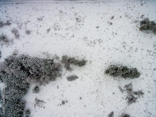 drone image. aerial view of rural area with fields and forests in snowy winter © Martins Vanags