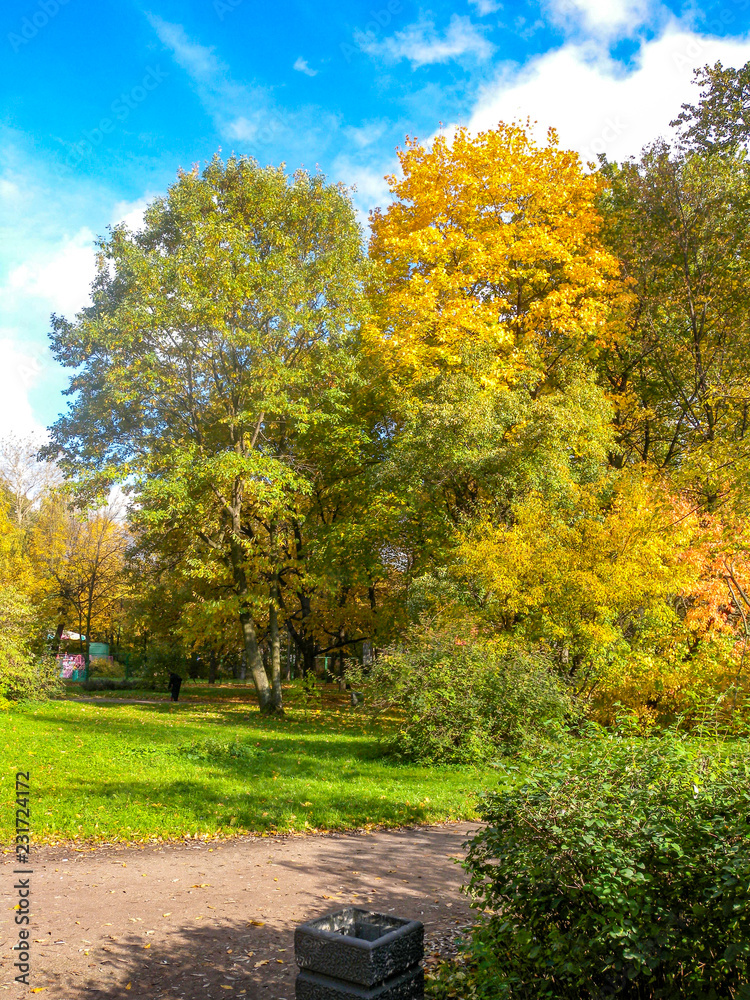 Bright Sunny autumn day in the Park