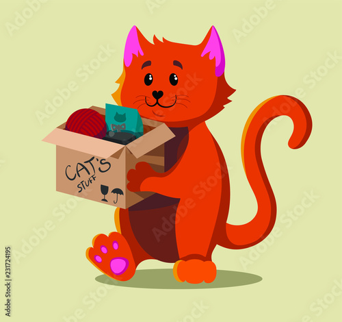 A red cat moving to a new house