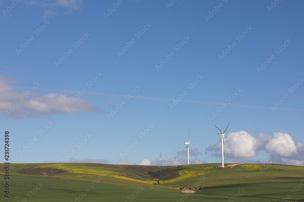 Windmill in green landscape Windmill in green landscape