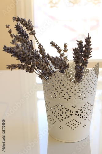 Fototapeta Naklejka Na Ścianę i Meble -  Lavender