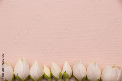 Jasmine flowers on pink wooden background. Border and frame. Top view
