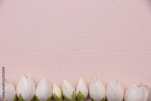 Jasmine flowers on pink wooden background. Border and frame. Top view