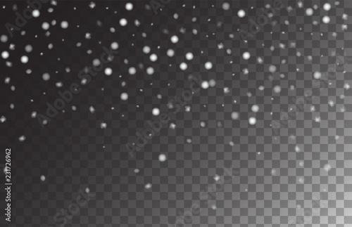 Winter Snowfall Ice Texture Vector Transparent Background. Realistic Snow Confetti Falling Down, Isolated Snowflake Scatter. Random Moving Realistic Snow Confetti, Christmas New Year Frost Decoration.