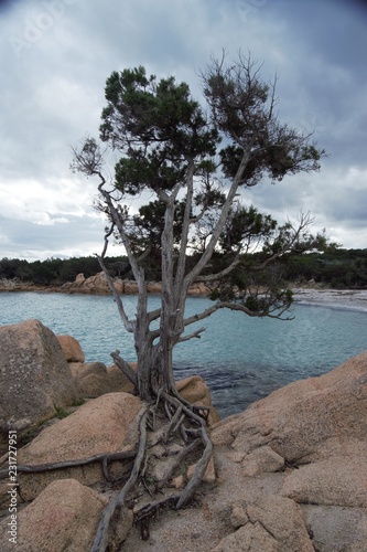 mare sea