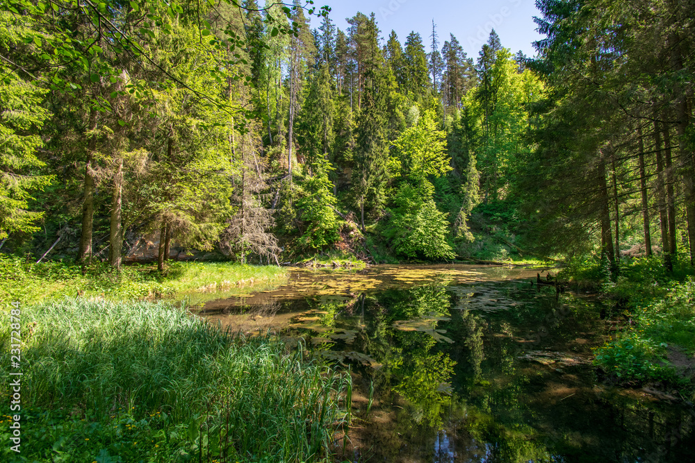 calm river with reflections of trees in water in bright green foliage in summer calm river with reflections of trees in water in bright green foliage in summer