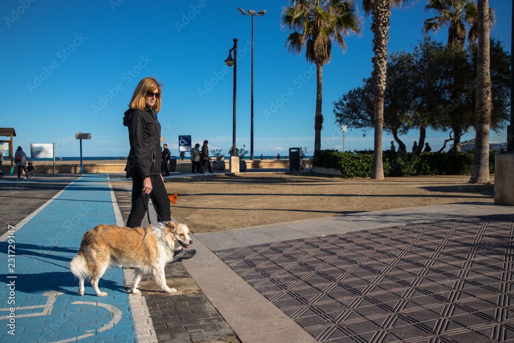 Woman and dog crossing wheelchair track at beach Stock Photo | Adobe Stock