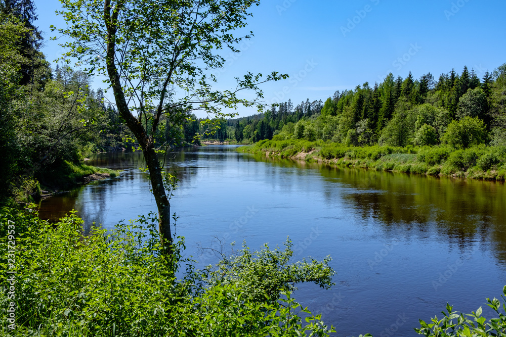 calm river with reflections of trees in water in bright green foliage in summer calm river with reflections of trees in water in bright green foliage in summer