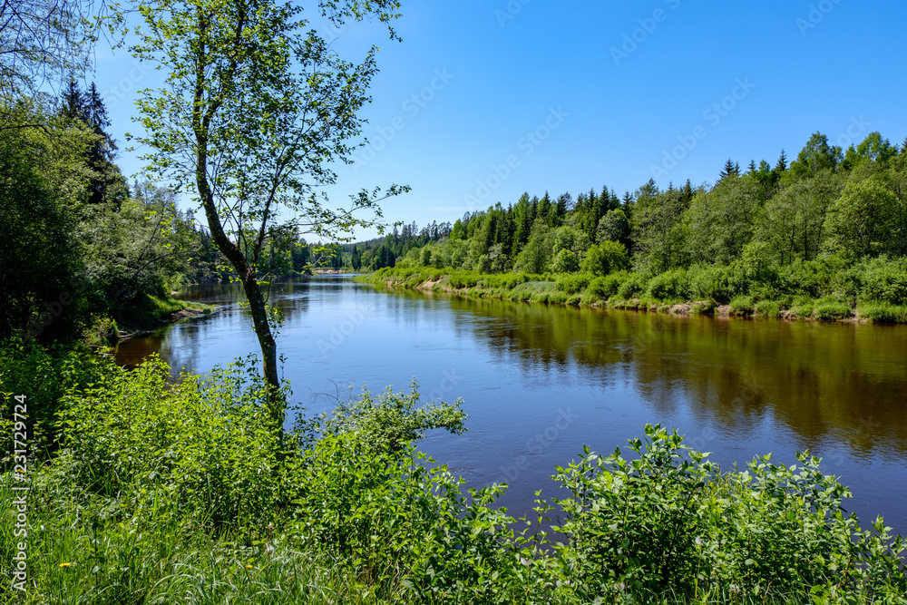 calm river with reflections of trees in water in bright green foliage in summer calm river with reflections of trees in water in bright green foliage in summer