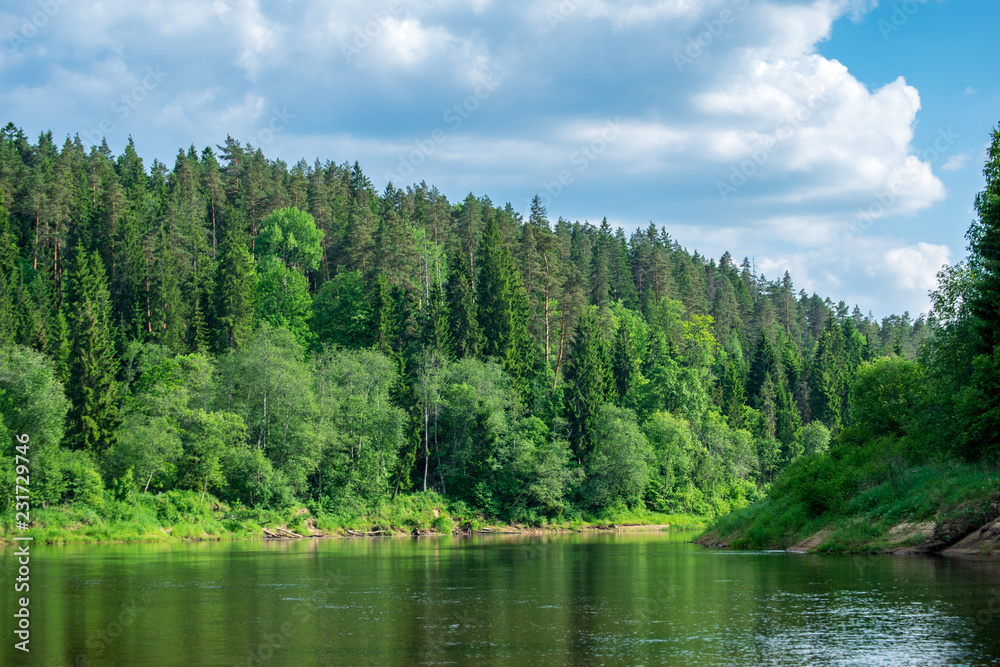 calm river with reflections of trees in water in bright green foliage in summer calm river with reflections of trees in water in bright green foliage in summer