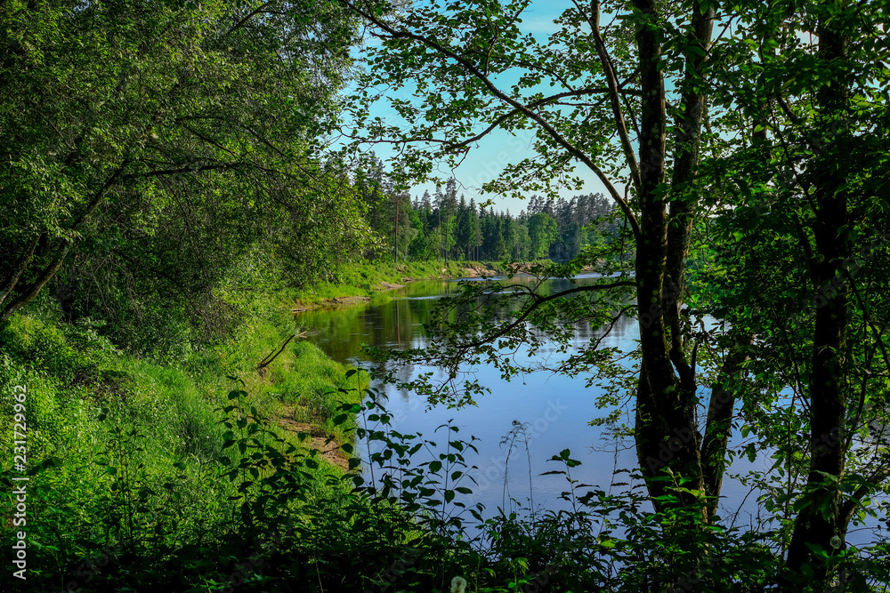 calm river with reflections of trees in water in bright green foliage in summer calm river with reflections of trees in water in bright green foliage in summer
