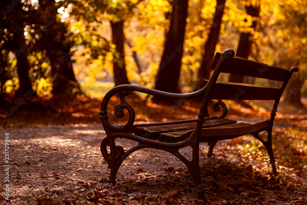 Bench in the autumn park