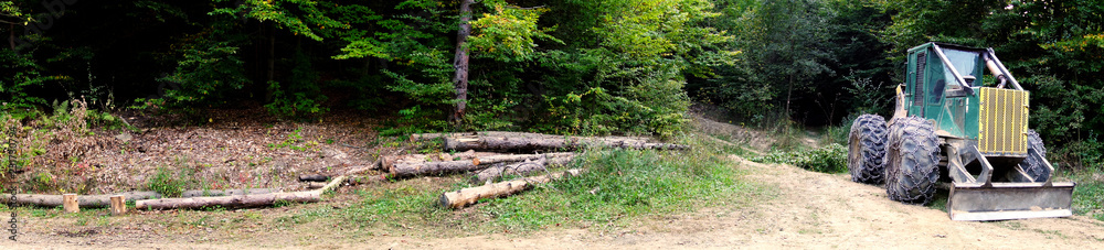 Fototapeta premium Forestry tractor to tow truncated trees