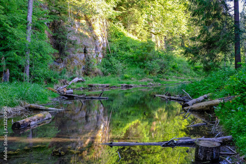 calm river with reflections of trees in water in bright green foliage in summer calm river with reflections of trees in water in bright green foliage in summer