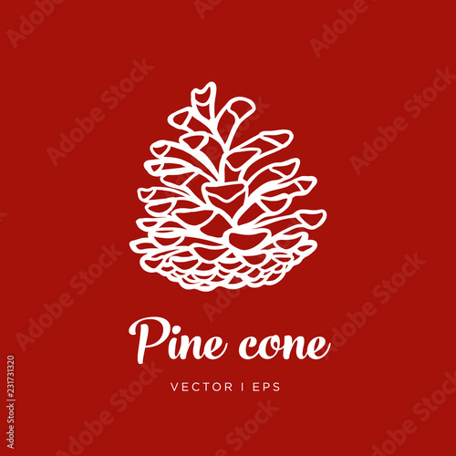 Hand drawn vector editable pine cone simple illustration. Christmas decor concept.