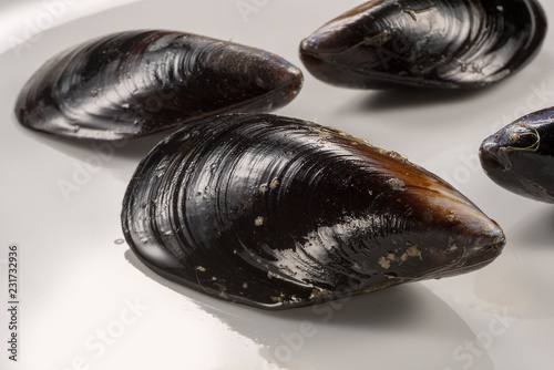 Plate with Four fresh raw mussels