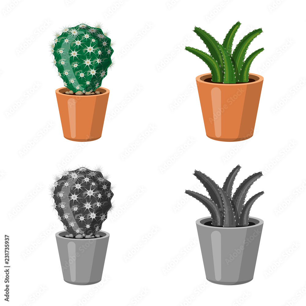 Vector design of cactus and pot icon. Collection of cactus and cacti vector icon for stock.