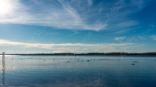 Sail boat and birds on a blue lake, Cospudener Lake in Leipzig, Germany © DZiegler