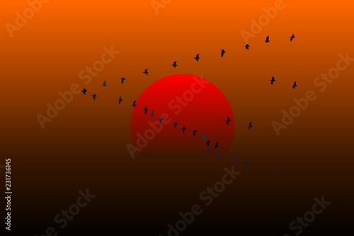 Birds Flying Triangle Sunset