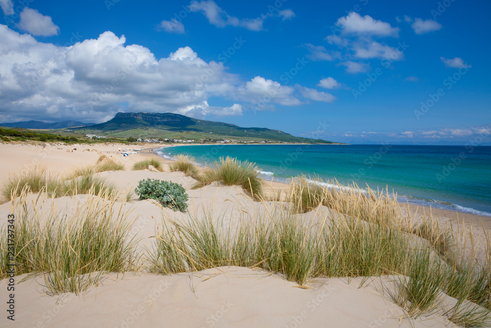 landscape of Bolonia Beach in Cadiz from a sand dune with plants