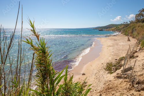 Fototapeta Naklejka Na Ścianę i Meble -  landscape of idyllic wild Beach Punta Paloma in Cadiz