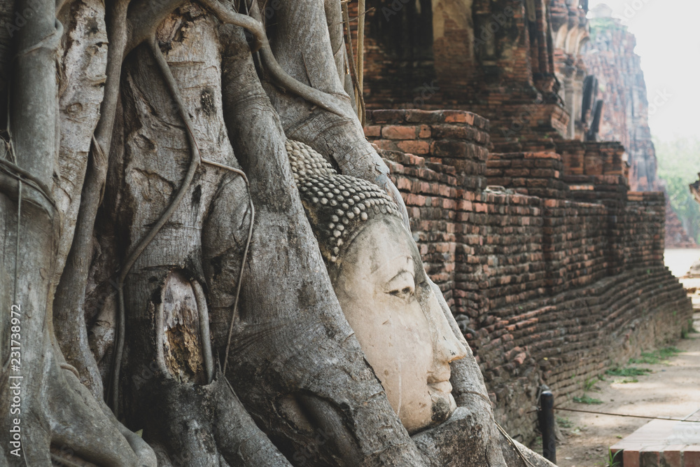 Vintage side view of Buddha head embedded in banyan tree roots in Wat Mahathat, Ayutthaya, Thailand