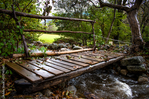 Wooden bridge made of logs