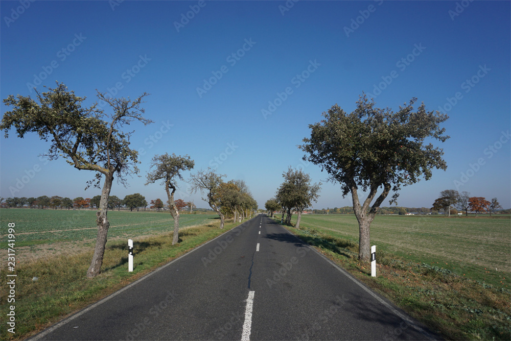 Fototapeta premium long road ahead