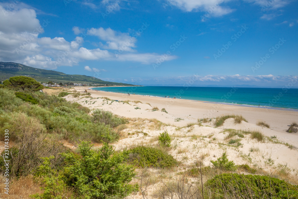 landscape of Bolonia Beach in Cadiz from the forest