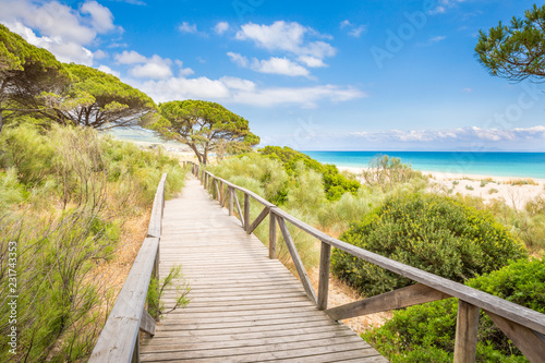 Fotografia, Obraz landscape of footbridge on beach in Cadiz
