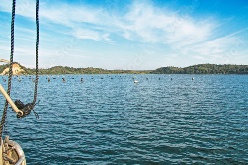 Oyster farm buoys In Corsica, France