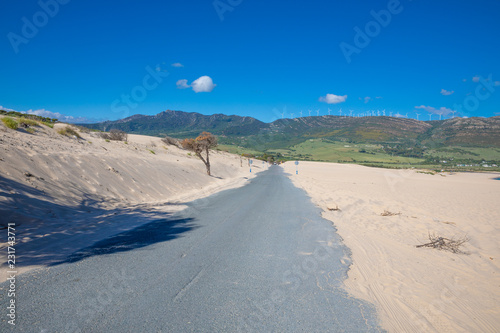sand over old narrow rural road in Cadiz