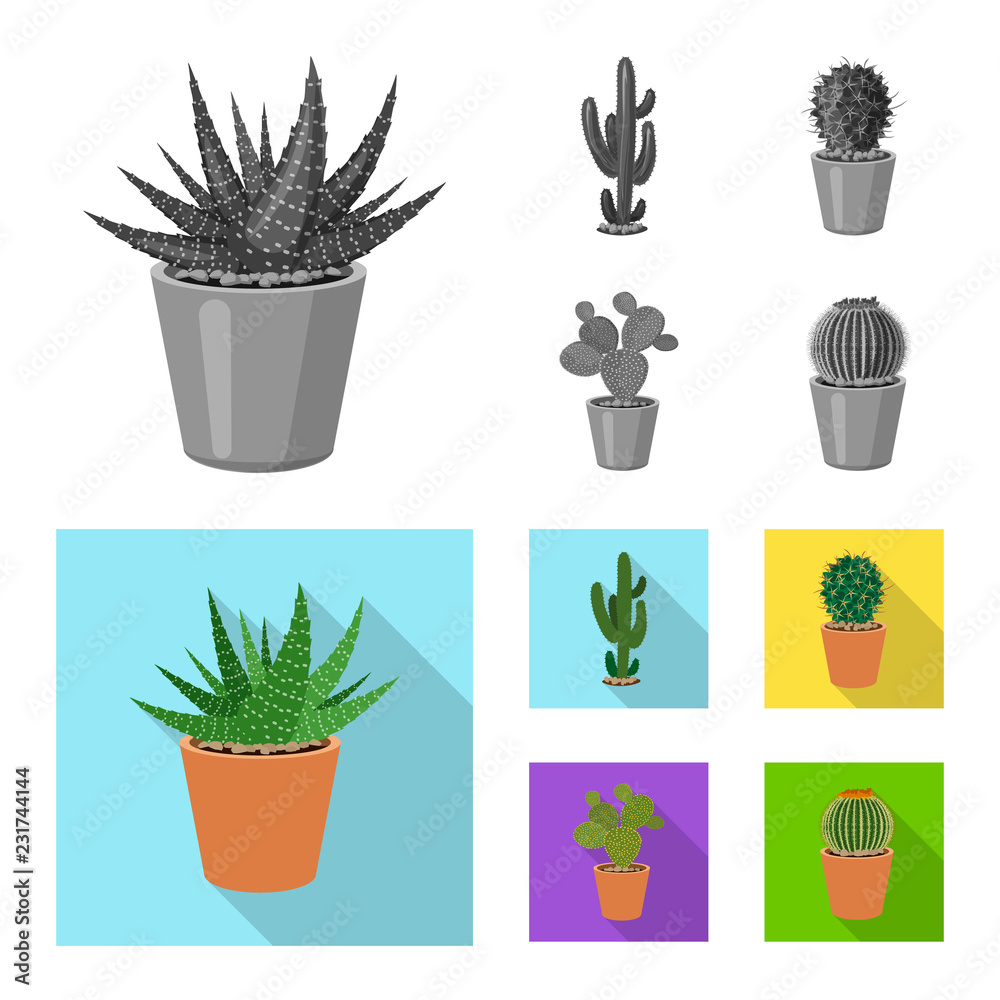 Vector design of cactus and pot icon. Collection of cactus and cacti stock symbol for web. Vector design of cactus and pot icon. Collection of cactus and cacti stock symbol for web.