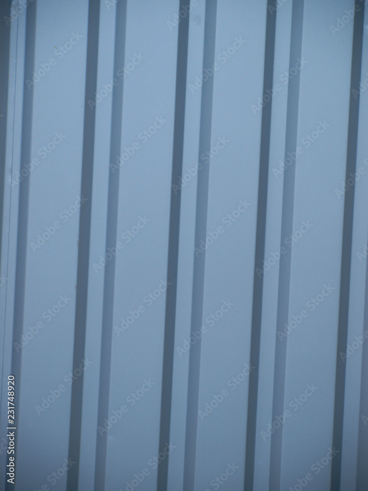 Obraz premium OLYMPUS DIGITAL CAMERA