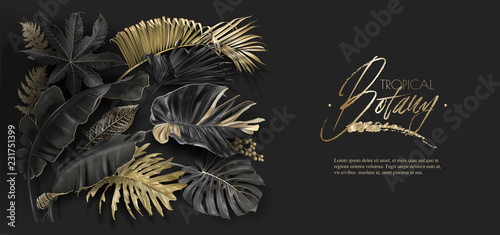Tropical leaves black and gold botany banner