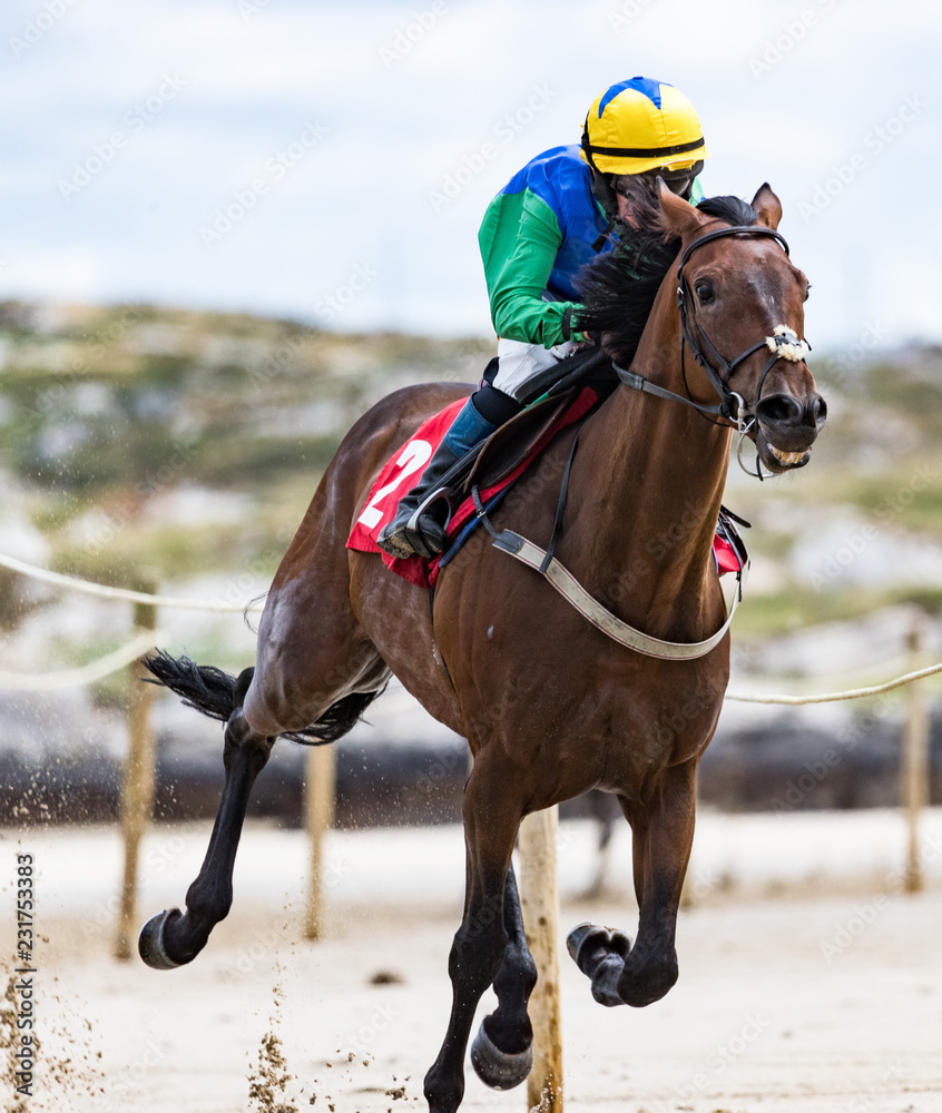 Close-up of jockey and race horse galloping on the beach