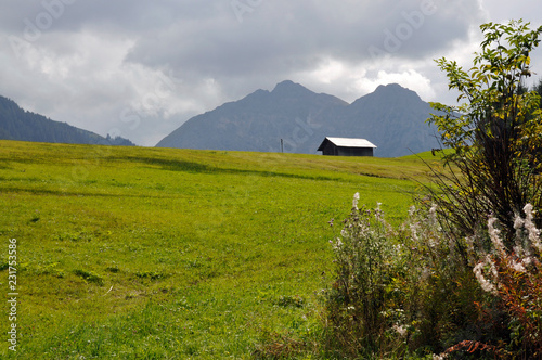 weide im kleinwalsertal