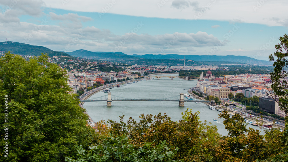 Naklejka premium Budapest bridge skyline panorama