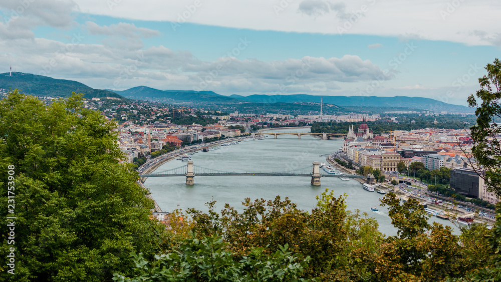 Budapest bridge skyline panorama