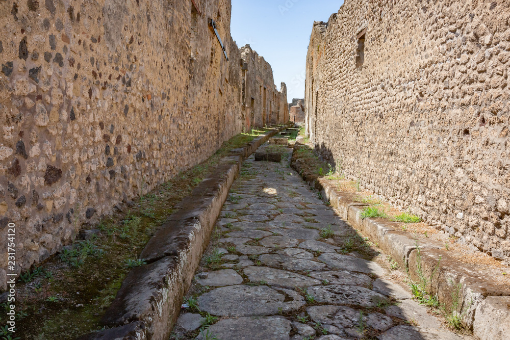 The Roman Ruins in Pompii
