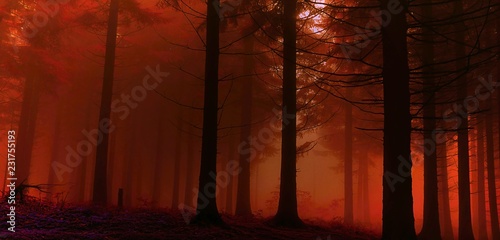 red forest