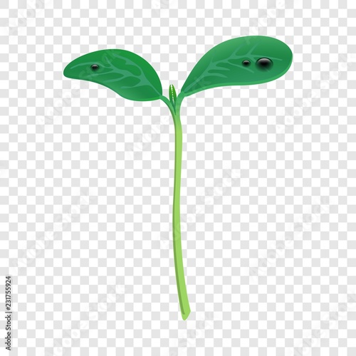 Grow up plant icon. Realistic illustration of grow up plant vector icon for web design on transparent background