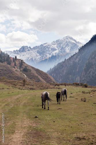 Kyrgyzstan landscape  © Viacheslav Krylov