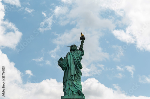 New York City   USA - AUG 22 2018  The statue of liberty back view in clear blue sky